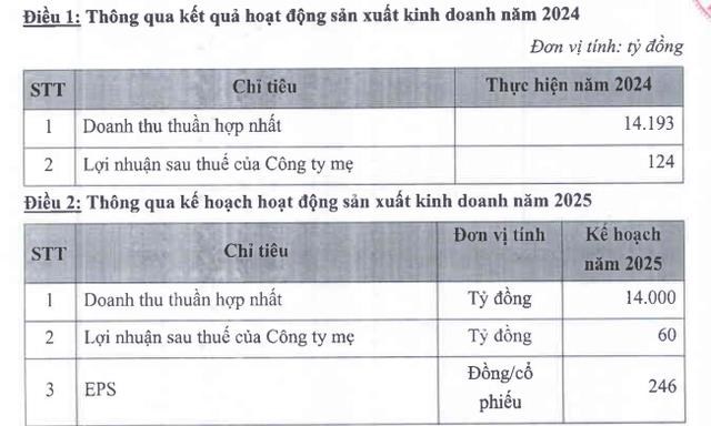 An Ph&#225;t Holdings (APH): Kế hoạch kinh doanh năm 2025 &#39;thận trọng&#39; d&#249; lợi nhuận 2024 &#39;bứt ph&#225;&#39; - Ảnh 1