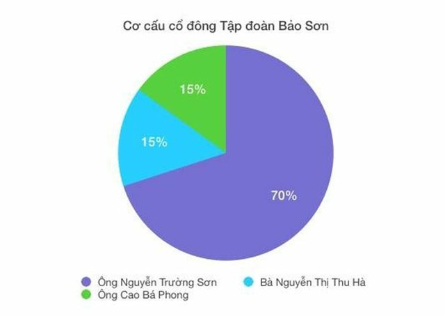 Hai mặt s&#225;ng tối trong bức tranh t&#224;i ch&#237;nh của Tập đo&#224;n Bảo Sơn - Ảnh 1