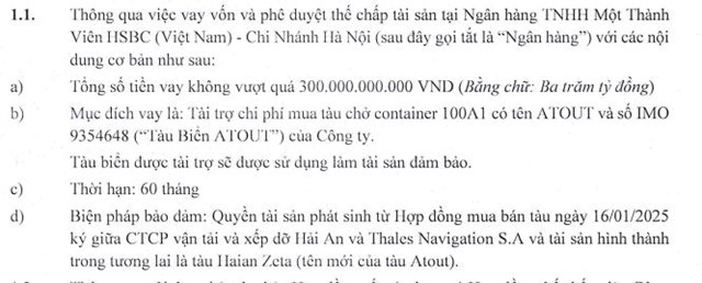 Vận tải v&#224; Xếp dỡ Hải An (HAH) dự kiến ph&#225;t h&#224;nh 8,55 triệu cổ phiếu để chuyển đổi tr&#225;i phiếu - Ảnh 2