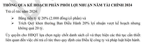 C&#244;ng ty Vĩnh Ho&#224;n (VHC) dự chi 930 tỷ đồng cho hoạt động đầu tư trong năm 2024 - Ảnh 3