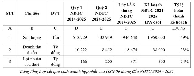 Hoa Sen (HSG) b&#225;o l&#227;i qu&#253; 2 ni&#234;n độ t&#224;i ch&#237;nh tăng 24%, ho&#224;n th&#224;nh 74% kế hoạch lợi nhuận nửa đầu ni&#234;n độ t&#224;i ch&#237;nh - Ảnh 1