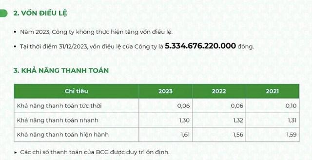 ĐHĐCĐ Bamboo Capital (BCG): Đặt mục ti&#234;u l&#227;i sau thuế năm 2024 tăng gần 6 lần; dự kiến đưa bảo hiểm AAA l&#234;n s&#224;n UpCOM - Ảnh 3