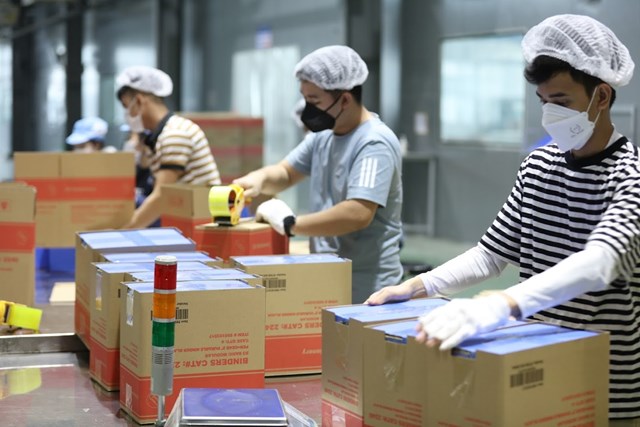 KTTN đang c&oacute; rất nhiều cơ hội thuận lợi để ph&aacute;t triển.