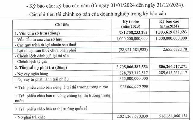 Đầu tư DHA: Lợi nhuận 2024 tăng trưởng, sạch nợ tr&#225;i phiếu v&#224; giảm mạnh nợ vay - Ảnh 1