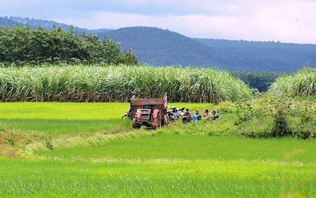 Quy định về t&#225;ch thửa, hợp thửa đất - Ảnh 1