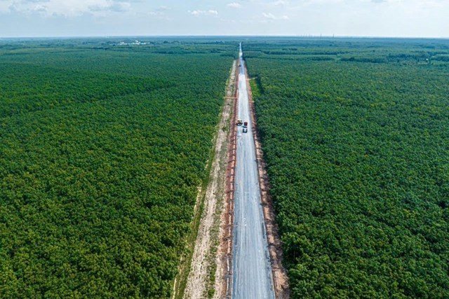 Nhiều dự &aacute;n trọng điểm được c&aacute;c tỉnh Đ&ocirc;ng Nam Bộ đẩy nhanh tiến độ. (Trong ảnh: Dự &aacute;n đường cao tốc TP HCM - Thủ Dầu Một - Chơn Th&agrave;nh tại tỉnh B&igrave;nh Dương)