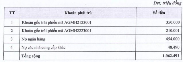 Angimex (AGM) l&#234;n tiếng về việc chậm trả l&#227;i l&#244; tr&#225;i phiếu 300 tỷ đồng - Ảnh 1