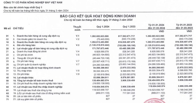 BAF Việt Nam (BAF) bị phạt tới 242,5 triệu đồng do c&#244;ng bố th&#244;ng tin kh&#244;ng đ&#250;ng quy định, ph&#225;t h&#224;nh &#39;ế&#39; hơn 4,5 triệu cổ phiếu ESOP - Ảnh 1