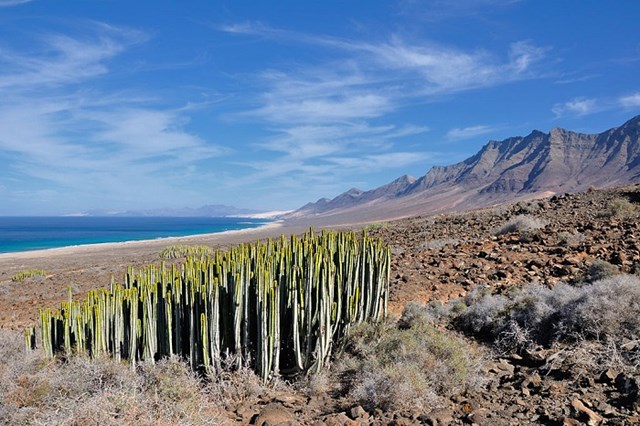 Đảo Fuerteventura&nbsp;lớn thứ hai&nbsp;trong&nbsp;quần đảo Canary - T&acirc;y Ban Nha.