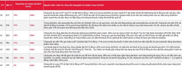 SSI Research dự b&#225;o lợi nhuận qu&#253; II/2024: Nhiều doanh nghiệp tăng l&#227;i bằng lần - Ảnh 6