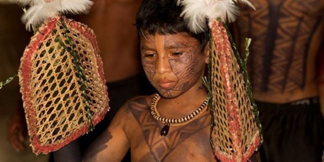 Một cậu b&eacute; đang đeo găng tay để kiến đốt theo phong tục của thuộc bộ tộc Satere Mawe.&nbsp;