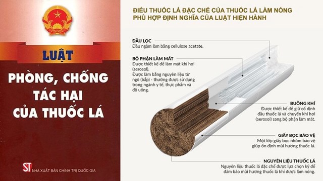 TLLN chứa nguy&ecirc;n liệu thuốc l&aacute;, ph&ugrave; hợp với định nghĩa của luật hiện h&agrave;nh tại Việt Nam.