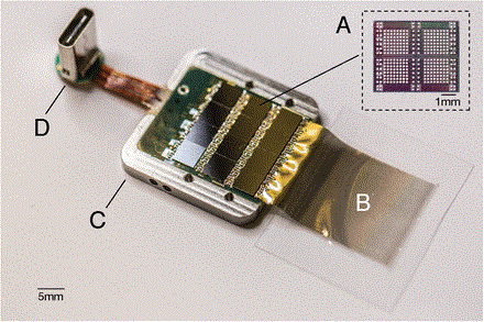 Con chip c&oacute; một bộ vi xử l&yacute; 256 k&ecirc;nh (A) được gắn tr&ecirc;n vỏ titan (C) v&agrave; c&oacute; đầu nối USB-C để cấp nguồn v&agrave; truyền dữ liệu.