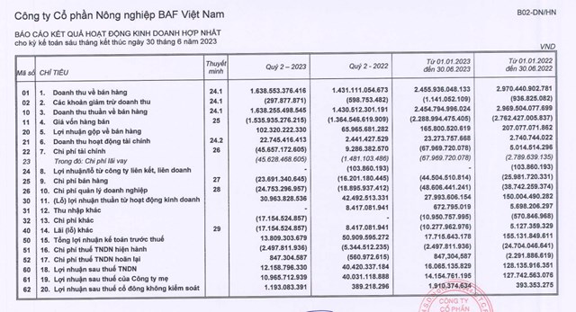 N&#244;ng nghiệp BAF Việt Nam (BAF) muốn huy động tối đa 500 tỷ đồng từ ba ng&#226;n h&#224;ng nước ngo&#224;i - Ảnh 1