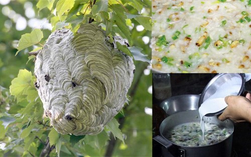 M&oacute;n ch&aacute;o nhộng ong nấu với nước cốt dừa được cho l&agrave; ngon nhất.