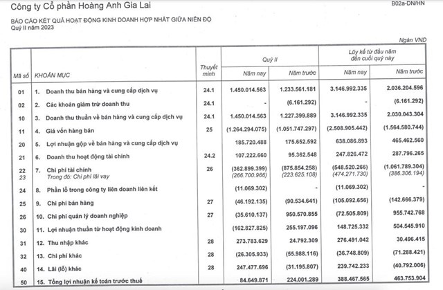 Ho&#224;ng Anh Gia Lai (HAG) muốn huy động 1.300 tỷ đồng từ nh&#224; đầu tư - Ảnh 2