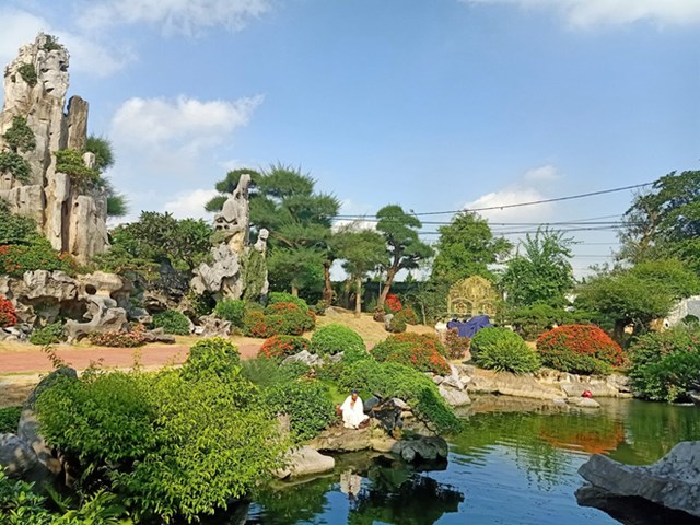 Biệt thự vườn 2.000 m2, c&#243; hồ c&#225; Koi của đại gia Nam Định được rao b&#225;n với gi&#225; kh&#244;ng tưởng - Ảnh 1