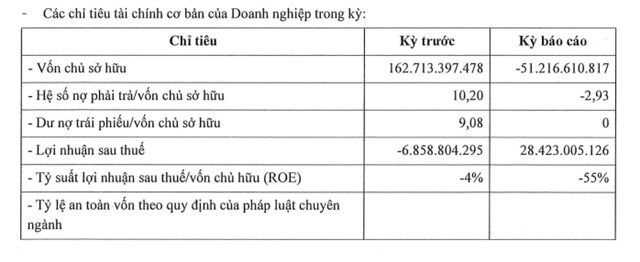 Một c&#244;ng ty của đại gia Đức &quot;c&#225; tầm&quot; l&#227;i 28,4 tỷ đồng nửa đầu năm, vốn chủ sở hữu &#226;m hơn 51 tỷ đồng - Ảnh 1