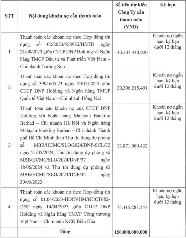 DNP Holding (DNP) muốn huy động 200 tỷ đồng tr&#225;i phiếu - Ảnh 1