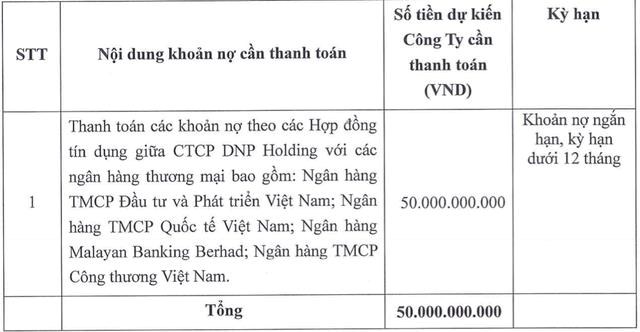 DNP Holding (DNP) muốn huy động 200 tỷ đồng tr&#225;i phiếu - Ảnh 2