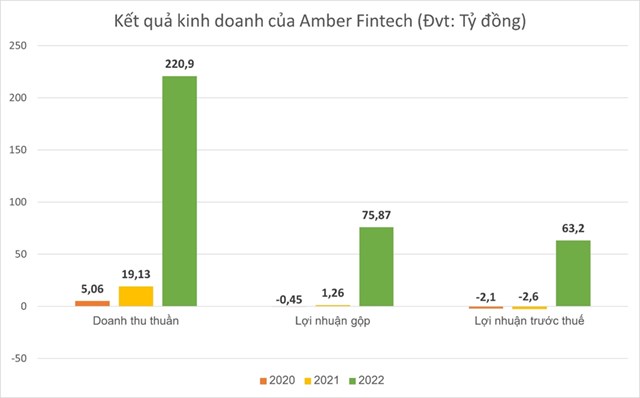 B&#237; ẩn hệ sinh th&#225;i Amber Holdings kinh doanh &#39;khủng&#39; thế n&#224;o? - Ảnh 2