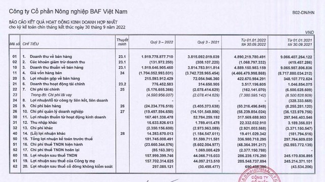 BaF Việt Nam (BAF) muốn ph&#225;t h&#224;nh 600 tỷ đồng tr&#225;i phiếu ri&#234;ng lẻ - Ảnh 2