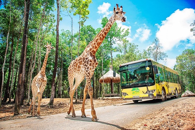 Vinpearl Safari Ph&#250; Quốc lọt top đầu vườn th&#250; v&#224; thủy cung tại Ch&#226;u &#193; - Ảnh 2