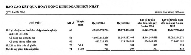 Saigonres (SGR) đặt mục ti&#234;u lợi nhuận năm 2025 đạt 365 tỷ đồng - Ảnh 3