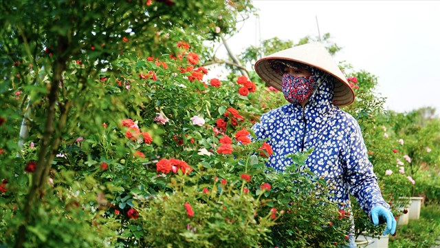 Đ&acirc;y l&agrave; cơ hội để quảng b&aacute; &ldquo;thủ phủ hoa H&agrave; Nội&rdquo; đến với du kh&aacute;ch trong nước v&agrave; quốc tế.