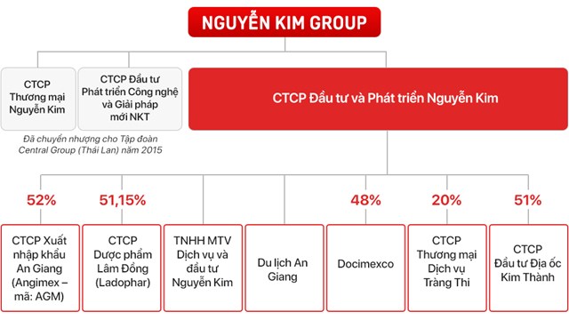 Sơ đồ hệ sinh th&aacute;i nh&agrave; Nguyễn Kim.&nbsp;(Đồ hoạ: Chu To&agrave;n).