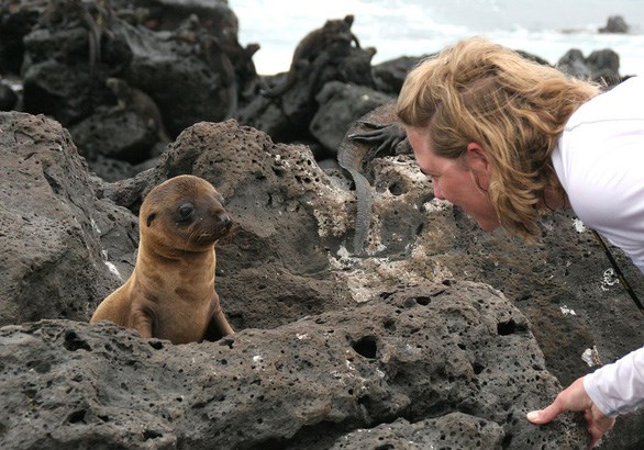 Hệ sinh th&aacute;i c&oacute; một kh&ocirc;ng hai l&agrave; điểm thu h&uacute;t kh&aacute;ch du lịch tại Galapagos (Ảnh: NATIONAL GEOGRAPHIC)