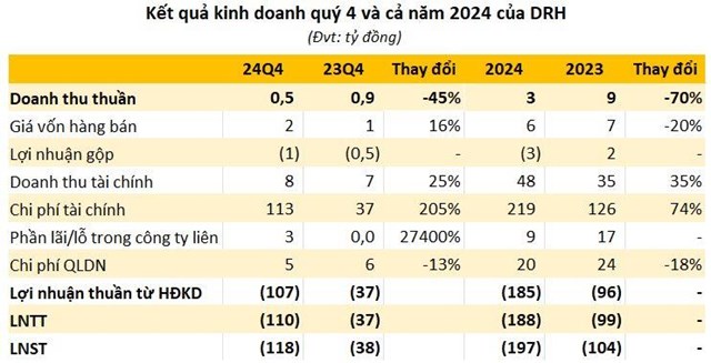 DRH Holdings (DRH) lỗ &#39;lịch sử&#39; 197 tỷ đồng năm 2024 do đầu tư, chứng kho&#225;n  - Ảnh 1