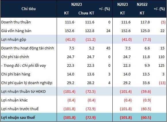 C&#244;ng ty Quốc tế Ho&#224;ng Gia (RIC) lỗ th&#234;m gần 29 tỷ đồng tr&#234;n BCTC kiểm to&#225;n 2023, cổ phiếu tiếp tục bị hạn chế giao dịch - Ảnh 1