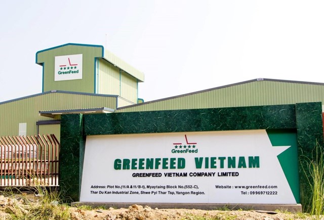 GreenFeed Việt Nam là một trong những đơn vị có thâm niên trong ngành thức ăn chăn nuôi.