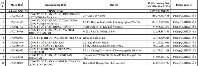 Bất động sản H&agrave; An đứng đầu danh s&aacute;ch nợ thuế.