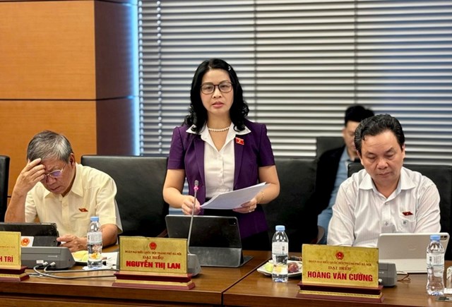 ĐBQH Nguyễn Thị Lan (đo&agrave;n H&agrave; Nội).