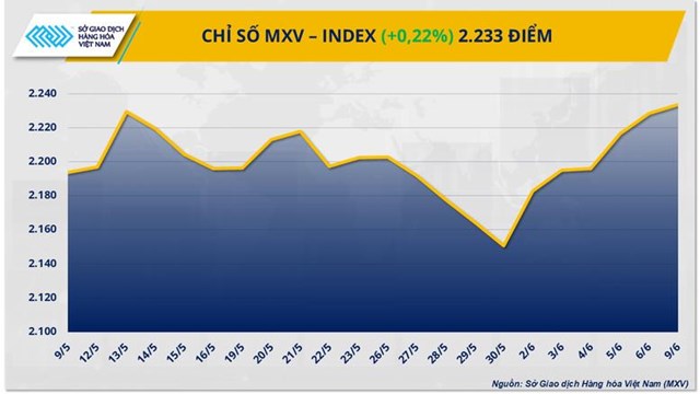 Giá kim loại quý thiết lập đỉnh mới, giá cà phê đảo chiều phục hồi