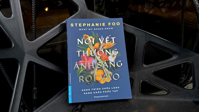 ‘Nơi vết thương &#225;nh s&#225;ng rọi v&#224;o’ - Bức tranh đa m&#224;u v&#224; ch&#226;n thực về Sang chấn Phức tạp - Ảnh 2