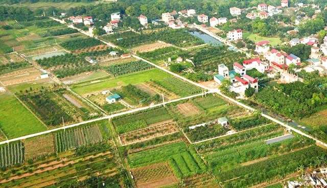 Nam Định tổ chức đấu giá hơn 200 lô đất trong tháng 9 (Ảnh minh hoạ).