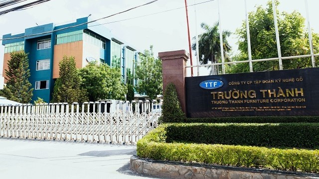 Chậm công bố thông tin tài chính bán niên 2024, Gỗ Trường Thành (TTF) bị nhắc nhở