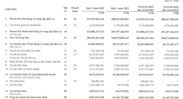 Nguồn: B&aacute;o c&aacute;o t&agrave;i ch&iacute;nh qu&yacute; 1/2023