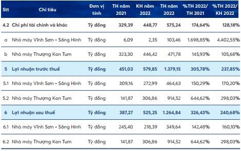 Nguồn: B&aacute;o c&aacute;o thường ni&ecirc;n 2022 VSH