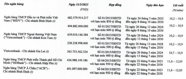 Nguồn: B&aacute;o c&aacute;o t&agrave;i ch&iacute;nh Qu&yacute; 1/2023