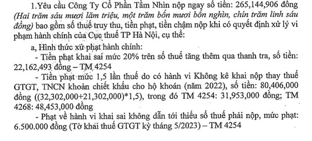 Vi phạm thuế, C&#244;ng ty cổ phần Tầm Nh&#236;n bị phạt, truy thu hơn 265 triệu đồng - Ảnh 3