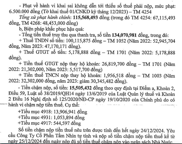 Vi phạm thuế, C&#244;ng ty cổ phần Tầm Nh&#236;n bị phạt, truy thu hơn 265 triệu đồng - Ảnh 4