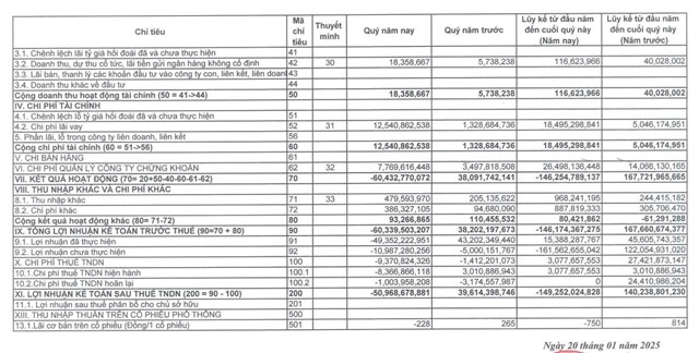 Chứng kho&#225;n APG (APG) b&#225;o lỗ trước thuế qu&#253; IV/2024 hơn 60 tỷ đồng - Ảnh 2