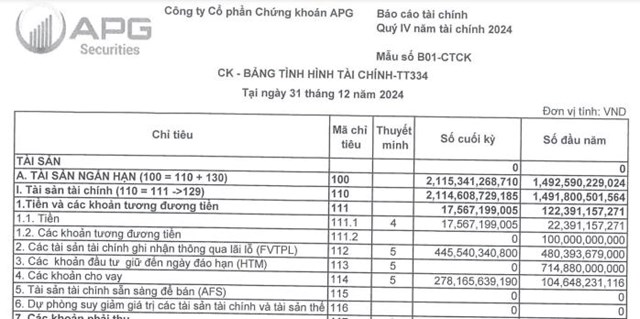 Chứng kho&#225;n APG (APG) b&#225;o lỗ trước thuế qu&#253; IV/2024 hơn 60 tỷ đồng - Ảnh 3