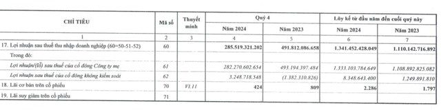 D&#249; &#39;hụt hơi&#39; trong qu&#253; IV/2024, Đạm C&#224; Mau (DCM) vẫn b&#225;o l&#227;i sau thuế cả năm tăng 20% - Ảnh 2