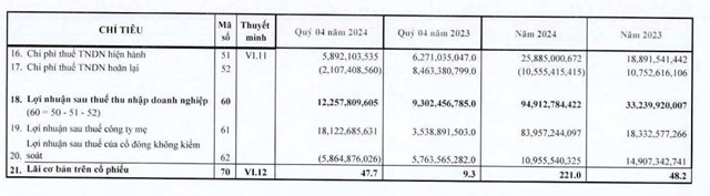 L&#227;i cả năm 2024 của SAM Holdings (SAM) đạt gần 95 tỷ đồng, gấp 2,8 lần c&#249;ng kỳ - Ảnh 2