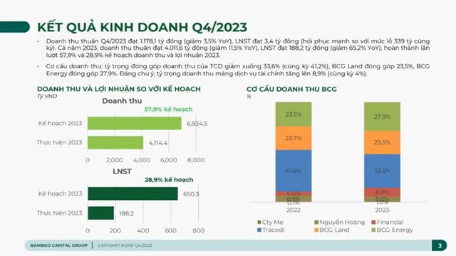 Bamboo Capital (BCG) ước đạt 1.000 tỷ đồng doanh thu trong qu&#253; I/2024 - Ảnh 3